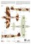 Fairey Firefly Mk.I "Foreign Service"