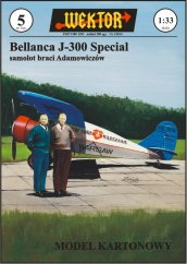 Letoun Bellanca J-300