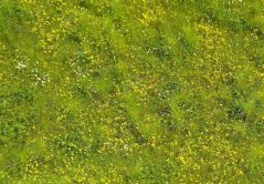 Trávna podložka - Kvitnúca lúka jarná