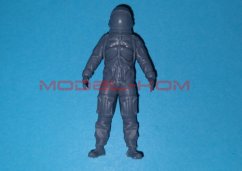 SR-71A - 3D pilot