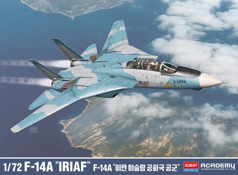 F-14A "IRIAF"