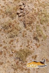 Grass pad - Desert Middle East