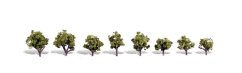 Listnaté stromky - Světle zelená - 1,9cm - 3,2cm - 8ks