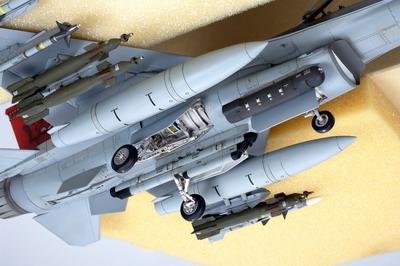 F-16C Fighting Falcon (Block 25/32)
