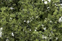 Fine-Leaf Foliage - Light green