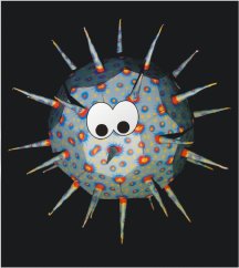Coronavirus
