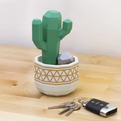 Kaktus San Pedro