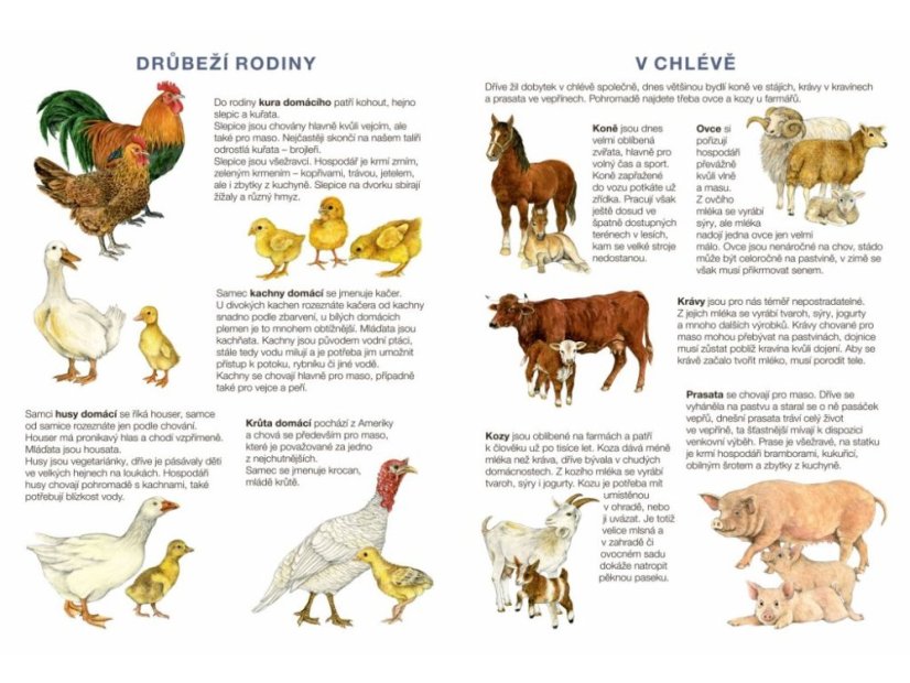 Začínáme vystřihovat - Na statku