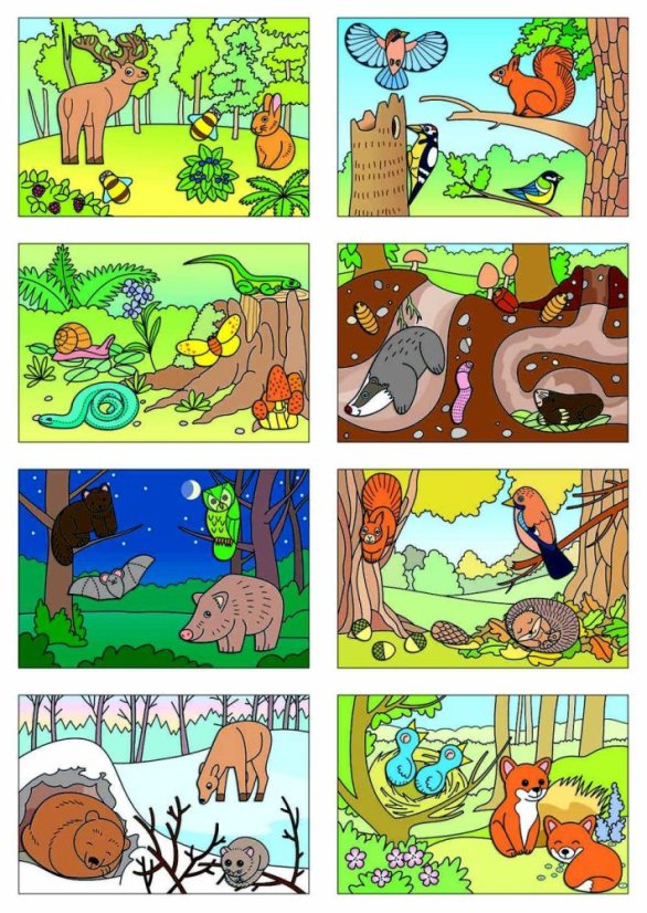 Začínáme vystřihovat - Zvířátka v lese