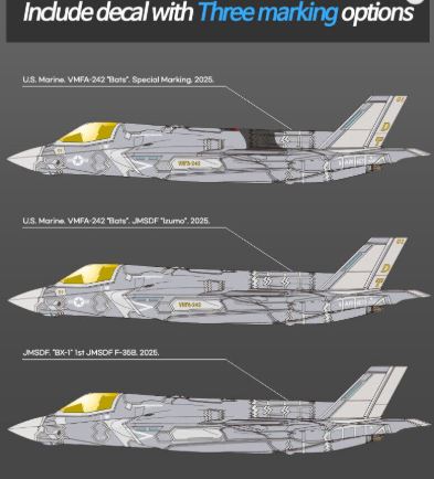 USMC F-35B LIGHTNING II - VMFA-242 "Bats"