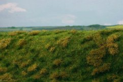 Trávní podložka - Neudržovaná louka časné léto