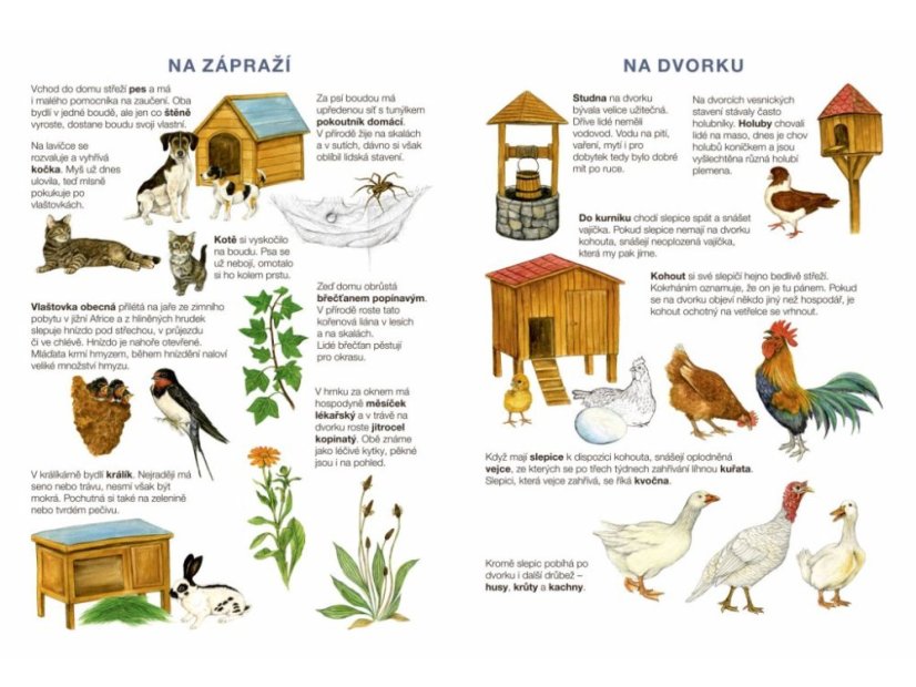 Začínáme vystřihovat - Na statku