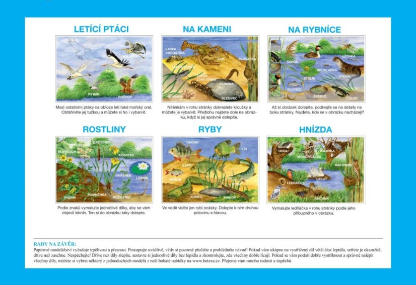 Začínáme vystřihovat - U Vody