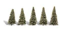 Ihličnaté stromčeky - Smrek - 5 cm - 8,9 cm - 5ks