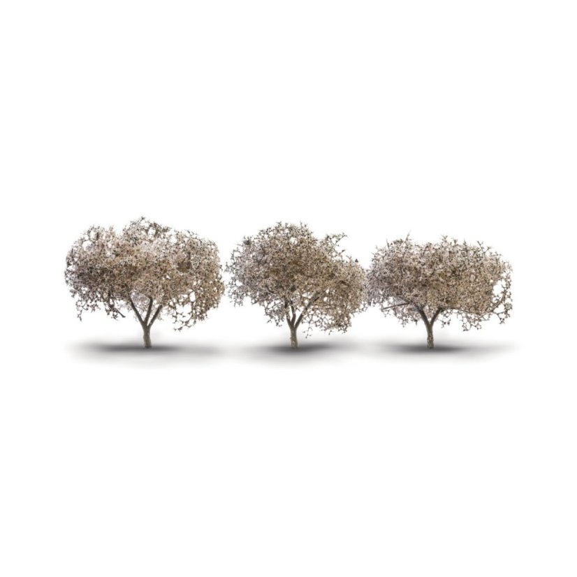 Listnaté stromky - Kvetoucí třešen - 4,4 cm - 5,7 cm - 3ks