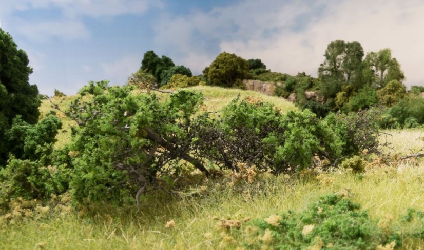 Keře - Středně zelená