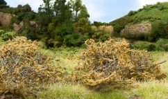 Keře - Suchá hnědá