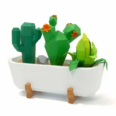 Kaktusy v truhlíku