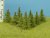 Larch 25 - 35 mm
