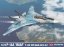 F-14A "IRIAF"