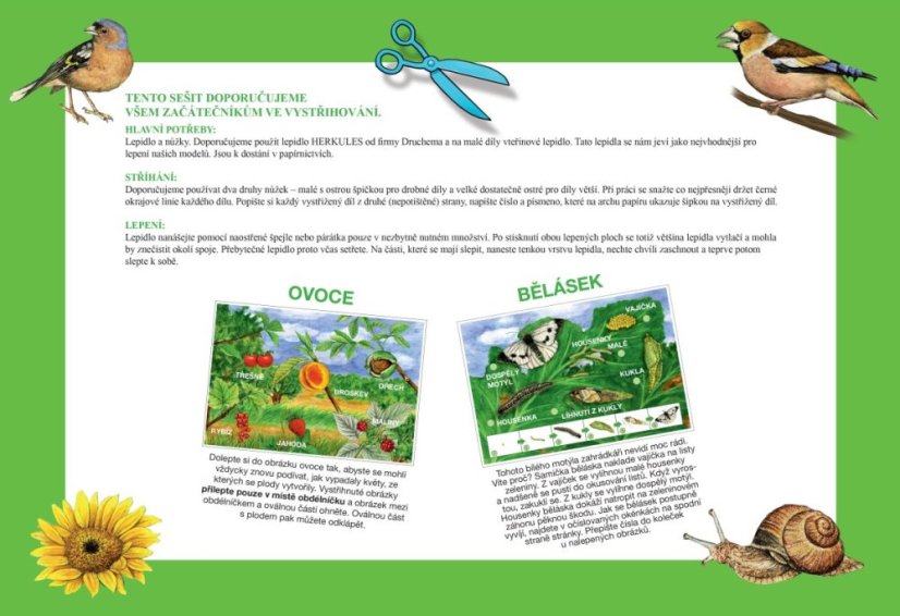 Začínáme vystřihovat - Zahrada