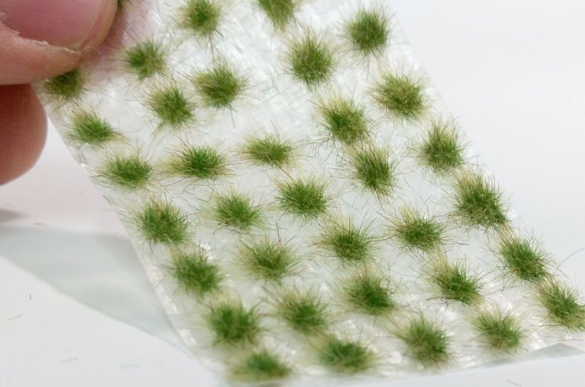 Drny malé - pozdní léto