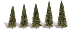Ihličnaté stromčeky - Jedľa - 5 cm - 8,9 cm - 5ks