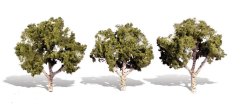 Listnaté stromky - Bříza - 10,1cm - 12,7cm - 3ks